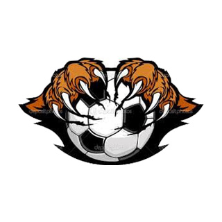 tiger futsal